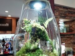 ̃t@~[K[fzt(ztAjւ̓eʐ^1