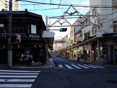 �j�C�`��������̔M�C������X�X�ւ̓��e�ʐ^1