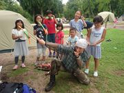 heidimama̐X̍@RtB[hAX`bN̓eʐ^1