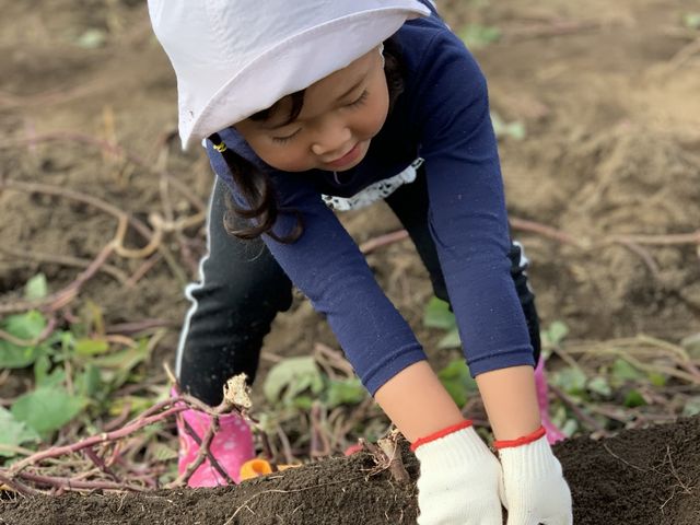 �傫�������I�I_������