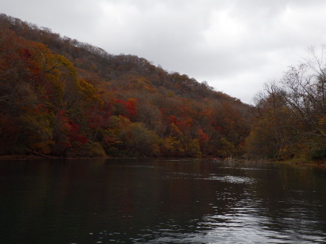 ��������������ΐ^���Ԃ������̂���_�l�C�`���[�A�N�e�B�r�e�B�Z���^�[�@�I�[�V�����f�C�Y