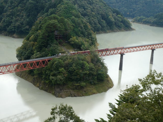 �w�ɒ�Ԓ��̃A�v�g�����_�����Ώ�w