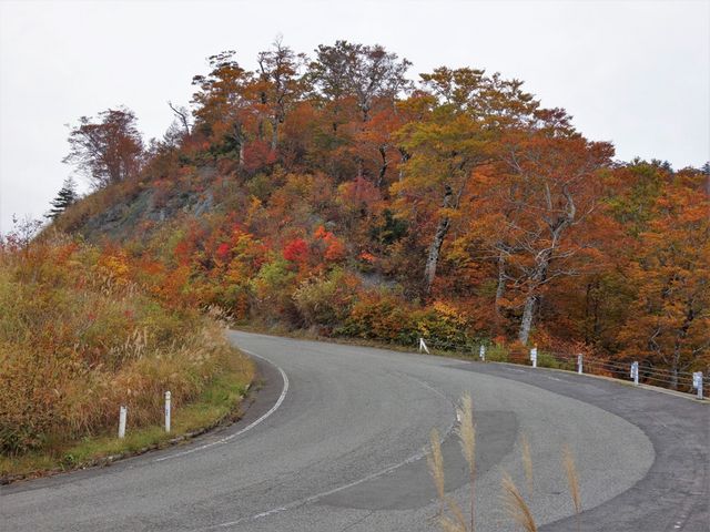 �|�p�I�ȃJ�[���̘A��_����ȃX�J�C�o���[