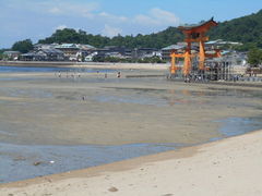 トシローさんの御笠浜への投稿写真1