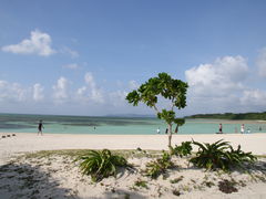 񂳂̃RhCr[`ւ̓eʐ^1