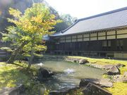 �j�R����񂳂�̑����i�~�o���j�̓��e�ʐ^1