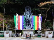 ���ǁ[����̌��R����ꎛ�̓��e�ʐ^3