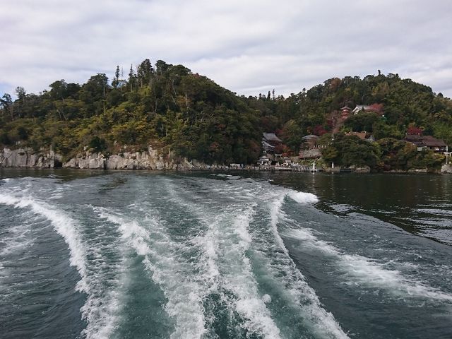 ��������_�|����