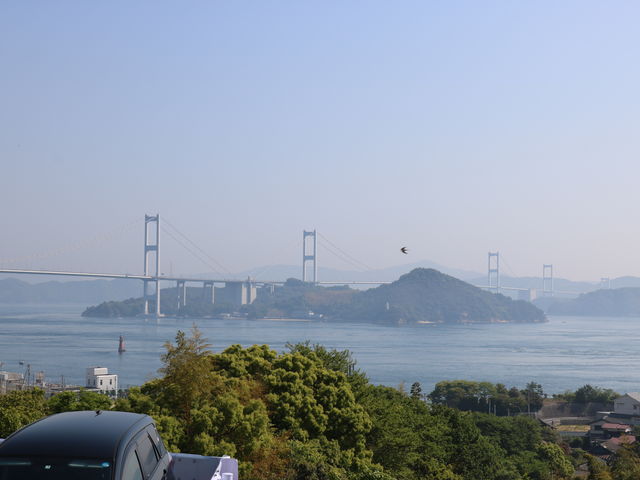 �����C���r�`����]�ޗ����C���勴�i�����s�j_�����C���T�[�r�X�G���A