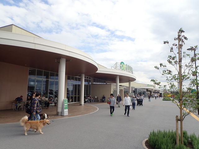 �@�c�T�[�r�X�G���A����