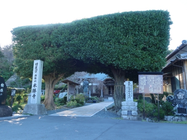 �Ћg����̖{�����̓��e�ʐ^1