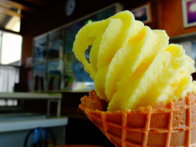 \tgN[_̉wE߂򒹂̗Eq