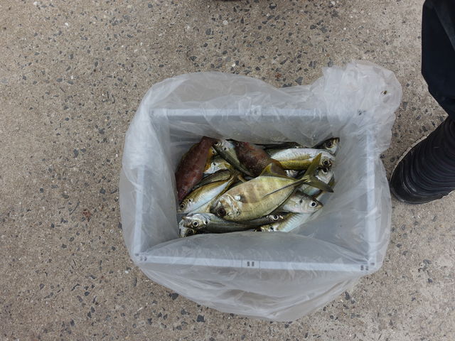 ނJnꎞԂł̒ނ_tBbVOܓ^