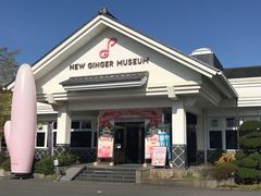 ~i̊≺̐VI~[WAւ̓eʐ^1