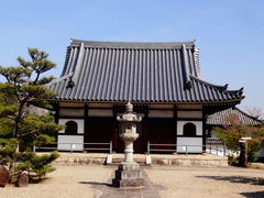 ���ǁ[����̖쒆���ւ̓��e�ʐ^1