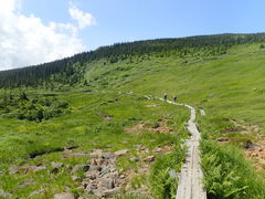 }Cann̓{SRuȎRvĎRgbLOւ̓eʐ^1