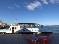 T28̊όD܂Âւ̓eʐ^1