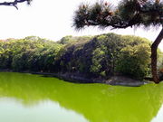 ǁ[̒Vcˁy~TUCÕz̓eʐ^1