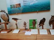 �O���ڂ̂��₶����̊��Ȑ��\�쐶�����ی�Z���^�[�̓��e�ʐ^2