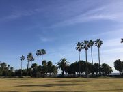 308777isãtFjbNX̓eʐ^1