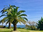 308777isãtFjbNX̓eʐ^2