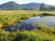 }Cann̔R̕@@{R[X̓eʐ^1