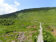 }Cann̓{SRuȎRvĎRgbLO̓eʐ^1