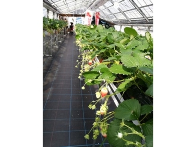 ��R��䕁I_�Ƃ悳��t�@�[����������