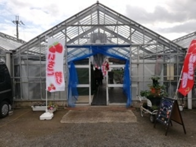 �n�E�X�̓�����I_�Ƃ悳��t�@�[����������