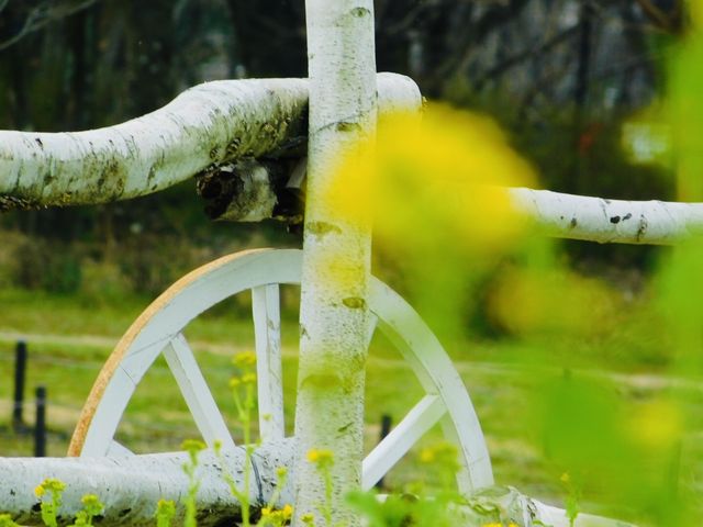 �S�������f�G�Ȍ����ł��B_�t�����[�p�[�N�]��