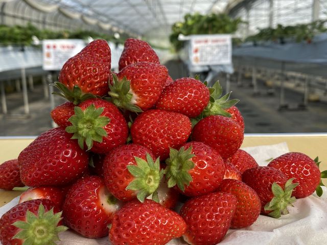 ����Ă��������蒸���Ȃ���܂��A�e�B�b�V�����p�ӂ��Ă���ėL��_���邢������