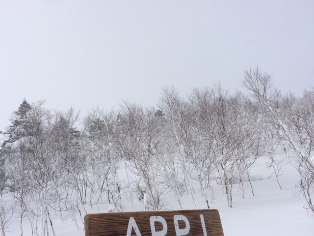 ���XTOP_���䍂���X�L�[��