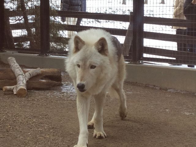 �I�I�J�~_�~�R������