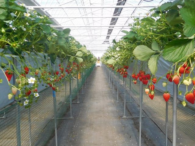 �����ł����A���n�ł������񂠂����B_�O�����������ّO�c