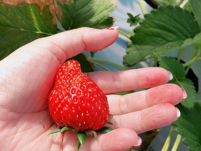 ��������������_�O�����������ّO�c