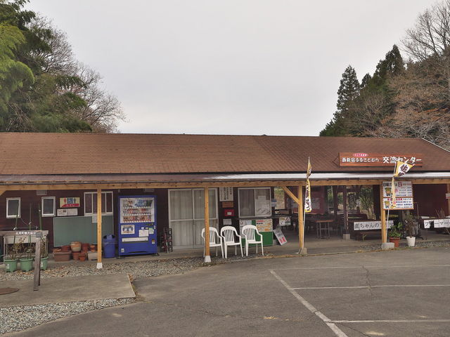 sklfh����̐��V�h�����������Ƃ��΂������̉Ԃ��傤�ԉ��̓��e�ʐ^1