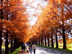 ڂ炳̃^ZRCA؂ւ̓eʐ^1