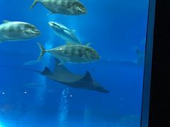 Ԃ݂̊ЃZAu[ւ̓eʐ^1