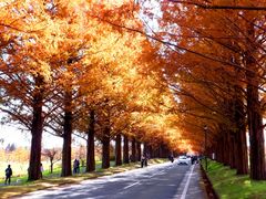 ڂ炳̃^ZRCA؂ւ̓eʐ^1