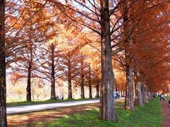 ڂ炳̃^ZRCA؂ւ̓eʐ^1