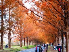 ڂ炳̃^ZRCA؂ւ̓eʐ^1