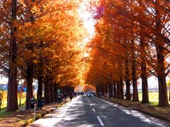 ڂ炳̃^ZRCA؂ւ̓eʐ^1