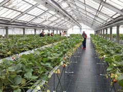 ~񂳂̂Ƃ悳t@[ւ̓eʐ^1