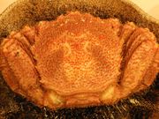 ziñze˂ނCz̓eʐ^2