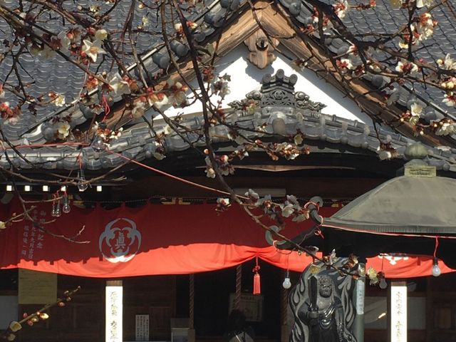 ͔̓~炢Ă܂_告͕s吹