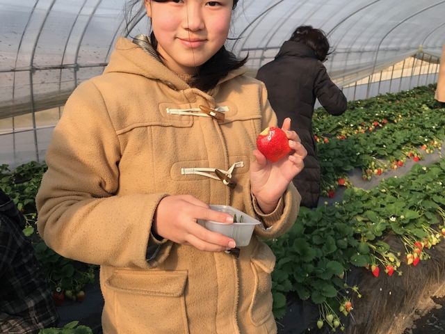 ���悢�_�����C�C�l�I_�[��_��