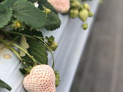 ܂肳̂Eu[x[_@x[̋ւ̓eʐ^1