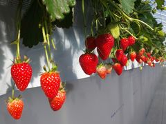 kayô񂽃t@[ւ̓eʐ^1