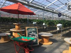 p_joumonfarmi傤ӂ[ށjւ̓eʐ^1