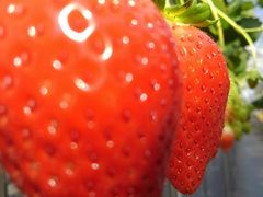 `Cg䕉݁iICHIGOYA TAKUMIjւ̓eʐ^3